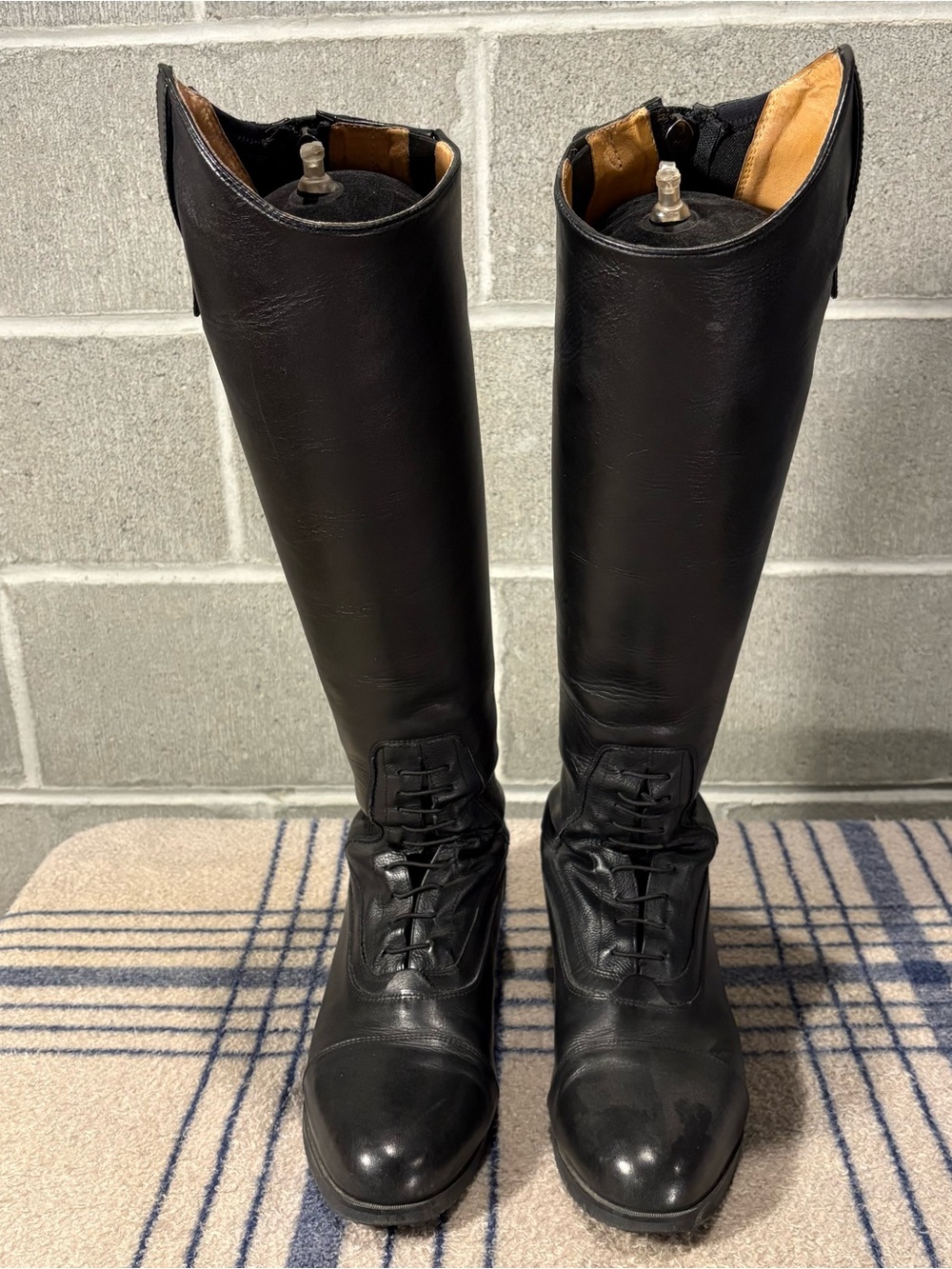 Tredstep Ireland Donatello tall field boots.